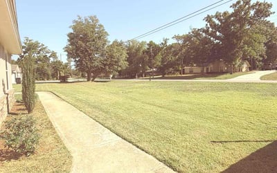 Photo of Yousuf K.'s yard after getting lawn care in Dallas, TX
