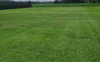 Photo of Shannon R.'s yard after getting lawn care in Walker, LA