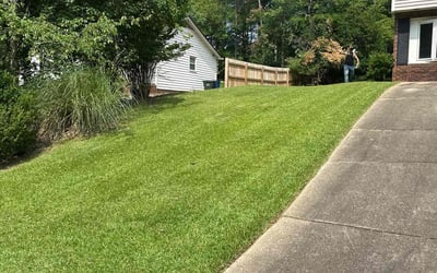 Photo of Thyme W.'s yard after getting lawn care in Princeton, NC