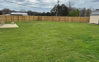Photo of Cody H.'s yard after getting lawn care in Shepherdsville, KY
