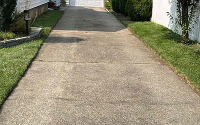 Photo of Bernie L.'s yard after getting lawn care in East Meadow, NY
