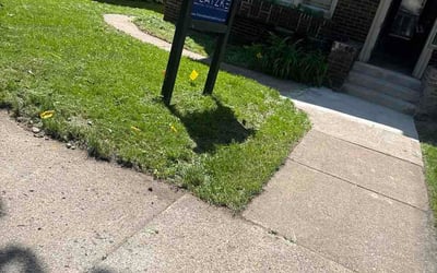 Photo of Jordan P.'s yard after getting lawn care in Taylors, SC