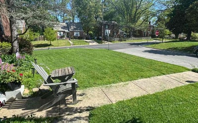 Photo of Stewart J.'s yard after getting lawn care in Takoma Park, MD