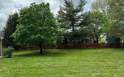 Photo of Meera S.'s yard after getting lawn care in Zionsville, IN