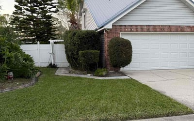 Photo of Jordan A.'s yard after getting lawn care in Charlotte, NC