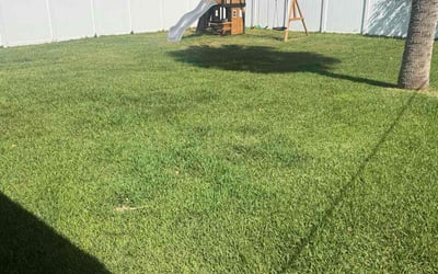 Photo of Rachel E.'s yard after getting lawn care in Overland Park, KS
