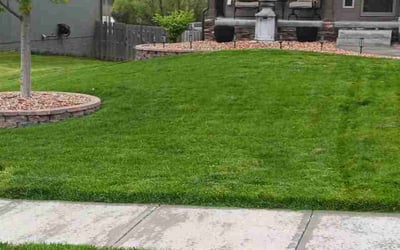 Photo of Tyler D.'s yard after getting lawn care in Bellevue, NE