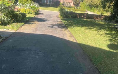 Photo of Anthony H.'s yard after getting lawn care in Arcadia, CA