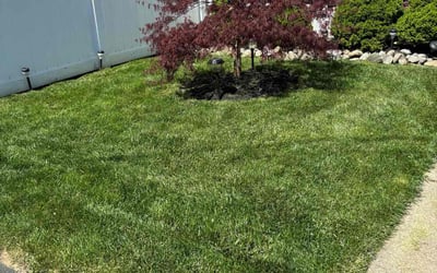 Photo of Alexandria M.'s yard after getting lawn care in Phillipsburg, NJ