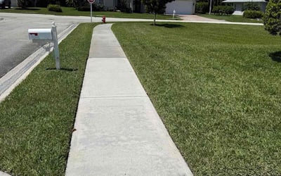 Photo of Dajuane H.'s yard after getting lawn care in Vero Beach, FL
