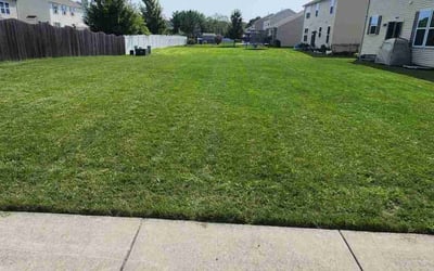 Photo of Alyssa J.'s yard after getting lawn care in Mount Juliet, TN