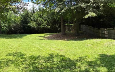 Photo of Susan H.'s yard after getting lawn care in Quakertown, PA