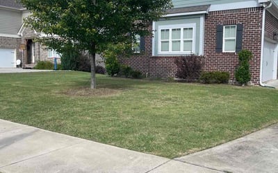 Photo of Susan W.'s yard after getting lawn care in Pelham, AL