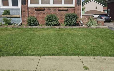Photo of Mikayla G.'s yard after getting lawn care in New Windsor, NY