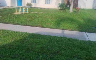 Photo of Teresa G.'s yard after getting lawn care in Lake Worth, FL