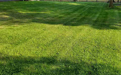 Photo of Bonnie D.'s yard after getting lawn care in Pelham, AL