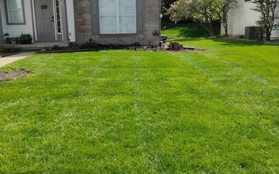 Photo of Amanda H.'s yard after getting lawn care in Fishers, IN
