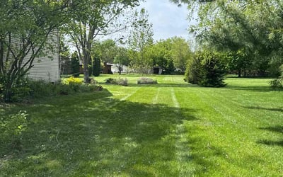 Photo of Tranell P.'s yard after getting lawn care in Visalia, CA