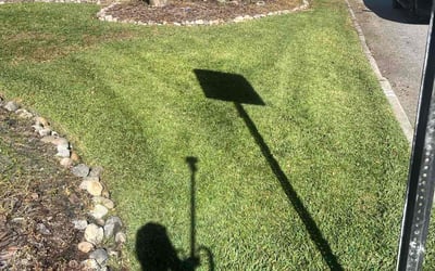 Photo of Adam A.'s yard after getting lawn care in Battle Ground, WA