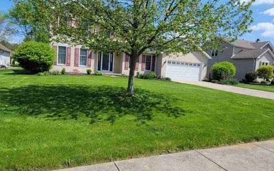 Photo of Gary Z.'s yard after getting lawn care in North Olmsted, OH