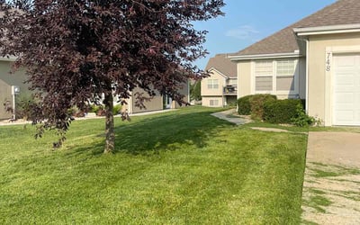 Photo of Nancy M.'s yard after getting lawn care in Gardner, KS