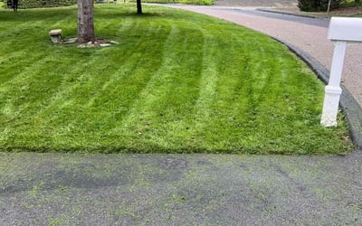 Photo of Brandon S.'s yard after getting lawn care in Bellingham, MA