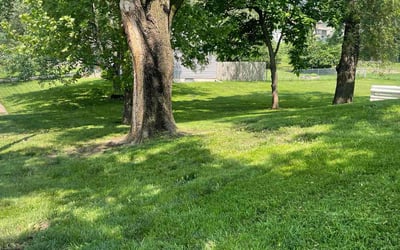 Photo of Steven S.'s yard after getting lawn care in Salisbury, MD