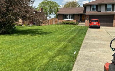 Photo of Charles B.'s yard after getting lawn care in Whiting, IN