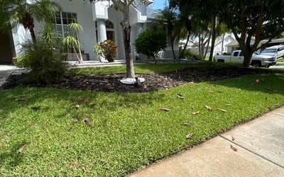 Photo of Zeynep Y.'s yard after getting lawn care in Tarpon Springs, FL