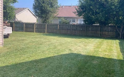 Photo of Susie M.'s yard after getting lawn care in Shelbyville, KY