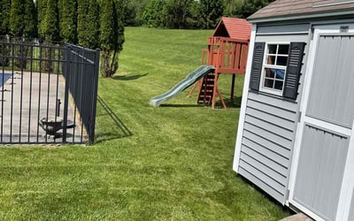 Photo of Ali A.'s yard after getting lawn care in Clifton Park, NY