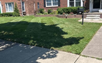 Photo of Kim W.'s yard after getting lawn care in Grosse Pointe, MI