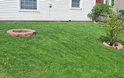Photo of Tyler S.'s yard after getting lawn care in Zionsville, IN