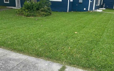 Photo of Megan B.'s yard after getting lawn care in Elmont, NY