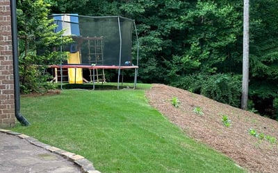 Photo of Josh F.'s yard after getting lawn care in Dawsonville, GA