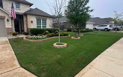 Photo of Amy C.'s yard after getting lawn care in Oregon City, OR