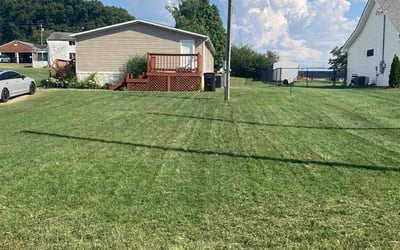Photo of Elizabeth B.'s yard after getting lawn care in Blountville, TN