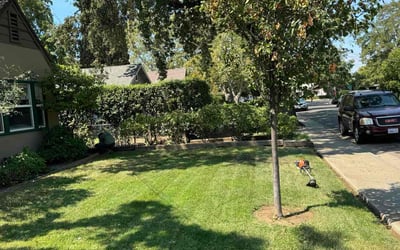 Photo of Andrew F.'s yard after getting tree care in Yorba Linda, CA