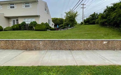 Photo of Thi N.'s yard after getting lawn care in Suwanee, GA