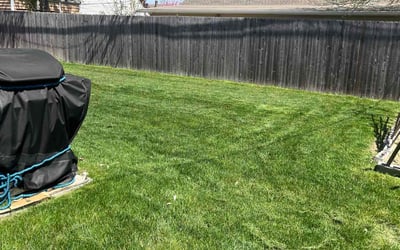 Photo of Michelle G.'s yard after getting lawn care in Levittown, PA