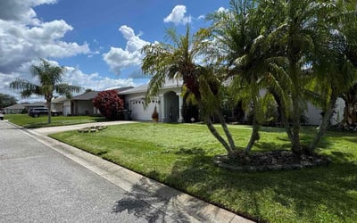 Photo of Robynn H.'s yard after getting lawn care in Mount Juliet, TN
