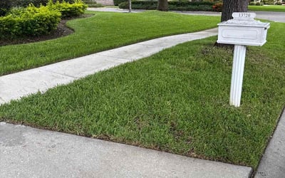 Photo of Edwin S.'s yard after getting lawn care in Tampa, FL