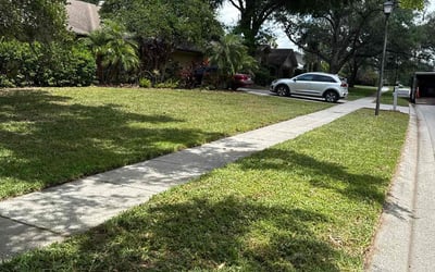 Photo of Danica S.'s yard after getting lawn care in Tampa, FL