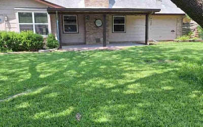 Photo of Chad H.'s yard after getting lawn care in Charlotte, NC
