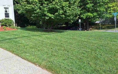 Photo of David R.'s yard after getting lawn care in Owings Mills, MD