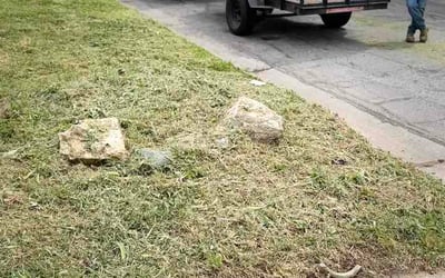 Photo of Terri L.'s yard after getting lawn care in Ozark, MO