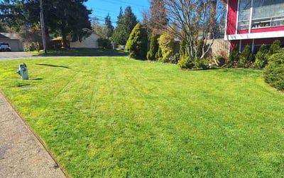 Photo of Cody C.'s yard after getting lawn care in Erie, PA