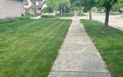 Photo of Robert S.'s yard after getting lawn care in Lincoln Park, MI