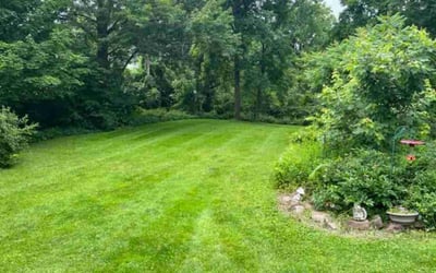 Photo of Linda M.'s yard after getting lawn care in East Syracuse, NY