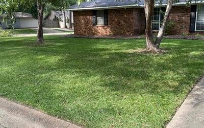 Photo of Tina V.'s yard after getting lawn care in Brandon, MS